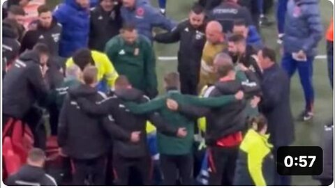 "Szalai, Hungary's Coach, in Good Health Following Collapse - 17 Nov 2024"