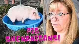 WTH did my PIG Just do