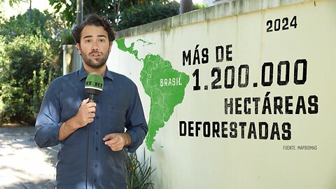 Brasil pierde bosques por la alta demanda de minerales