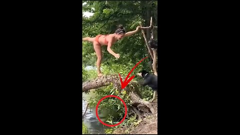Walking, Thinking… Failing! 🧠💥 | Best Human Fails Caught on Cam