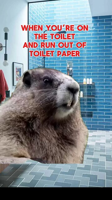 Hilarious funny memes 😂😭🤣