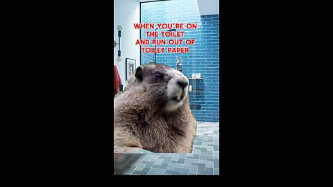 Hilarious funny memes 😂😭🤣