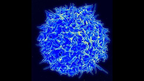 The impossibility of life coming from non-life