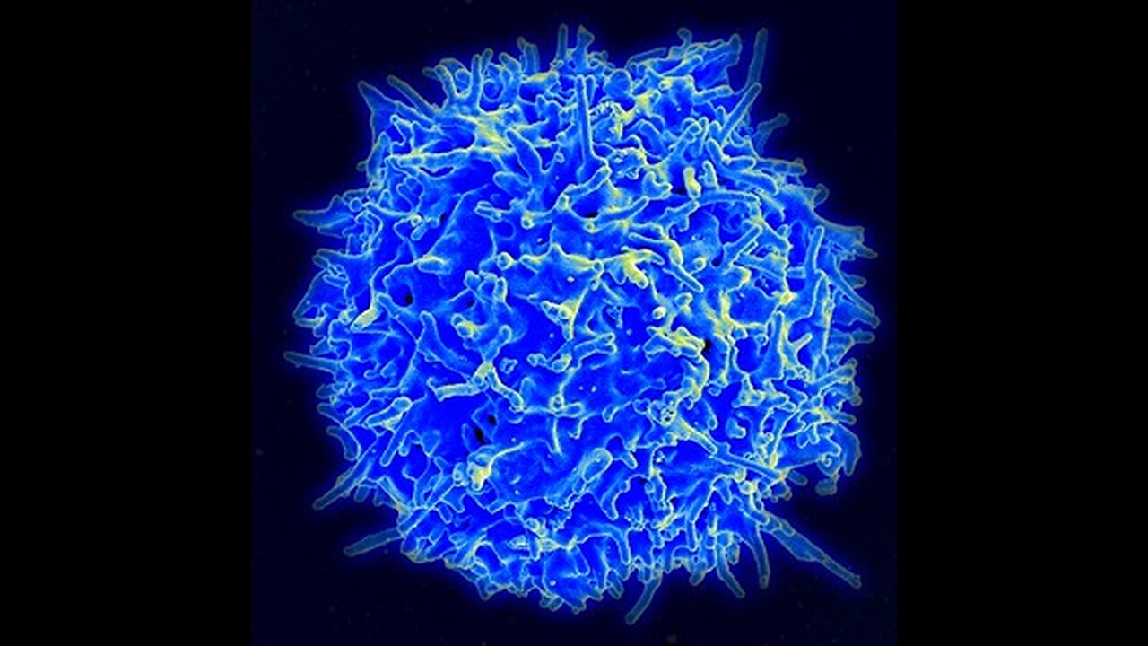 The impossibility of life coming from non-life
