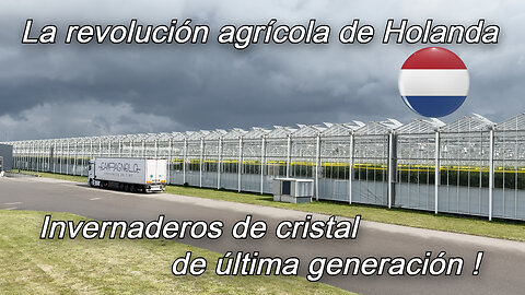 La revolución agrícola de Holanda: Invernaderos de cristal de última generación #invernaderos