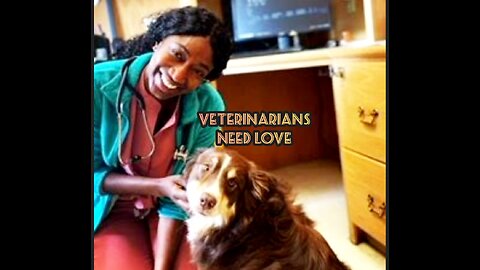 VETERINARIANS NEED LOVE