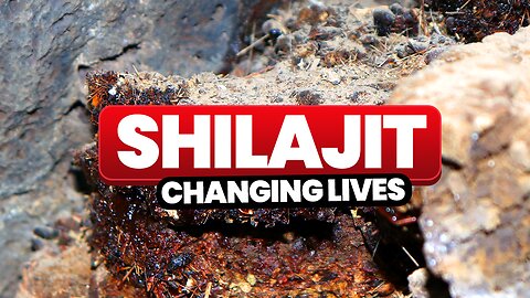 Shilajit Benefits: The Ancient Mountain Secret Transforming Health Today | EarthLuxe