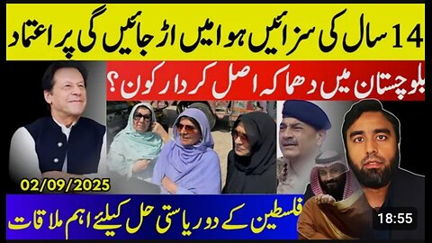 Why Aleema Khan Happy After Meeting Imran Khan** 2 State Solution Important Meeting In New York