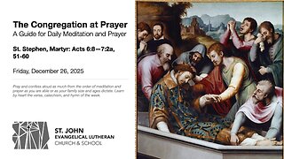 St. Stephen, Martyr: Acts 6:8—7:2a, 51-60