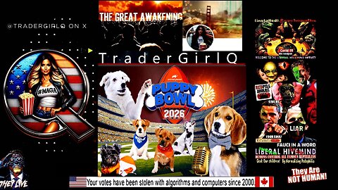 Super Bowl Puppy Show Watch CA Watch New York Get The Popcorn Ready For Nuclear Football