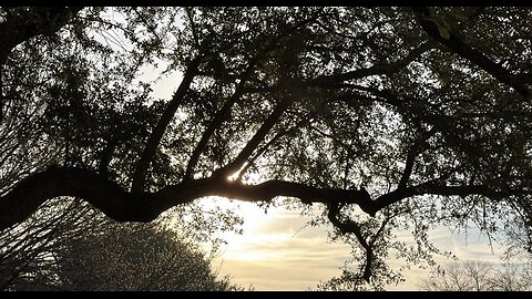 26.01.05 Tom's Take - Arise and Shine