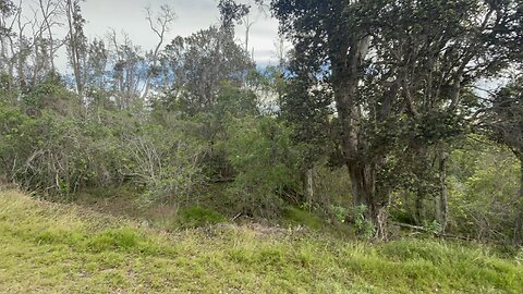 HOVE MAHIMAHI DRIVE - 1 ACRE LOT FOR SALE