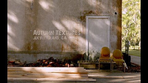 FF-039-Autumn Textures, Jekyll Island, GA