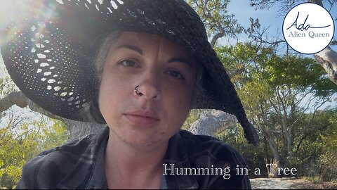Ada Alien Queen • BELove.BELight.BELieve…BEL Trinity • Take #00002 • Humming in a Tree