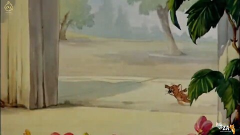 Tom and Jerry Cartoons