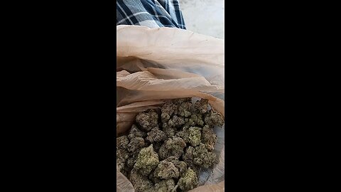 ⛽