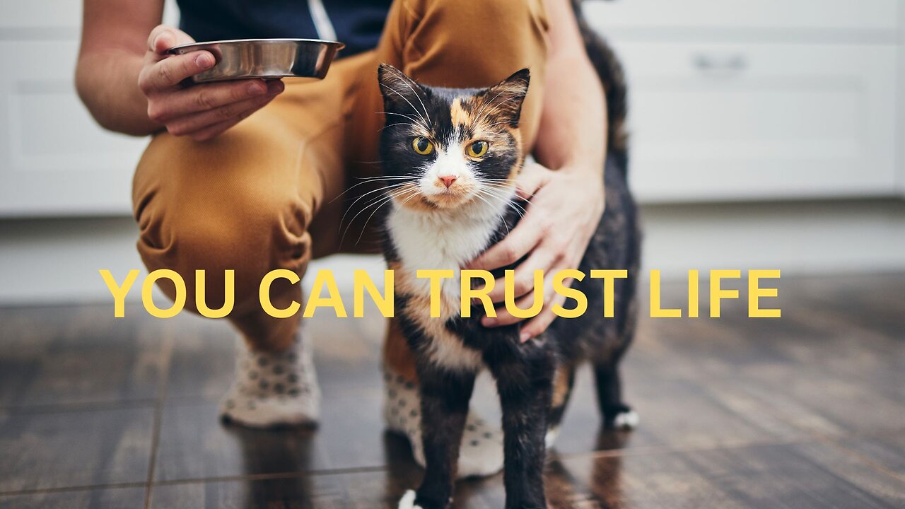 YOU CAN TRUST LIFE ~ JARED RAND’s GLOBAL MEDITATION CALL 6-15- 2025