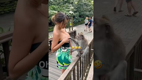 Animals Funny Compilation #funnyanimals #animals #pets #shorts