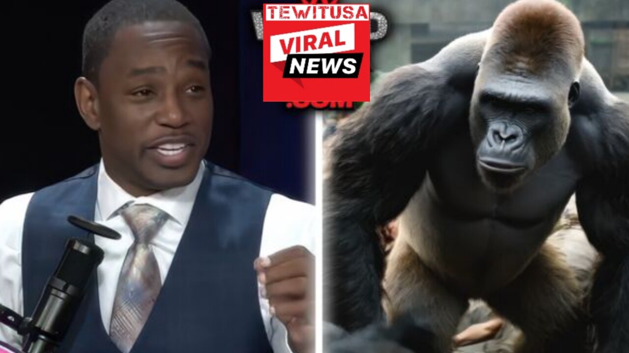 Cam’ron and Mase Discuss Viral “100 Men vs 1 Gorilla” Debate: “Once One’s Thrown, 40 Will Run!”