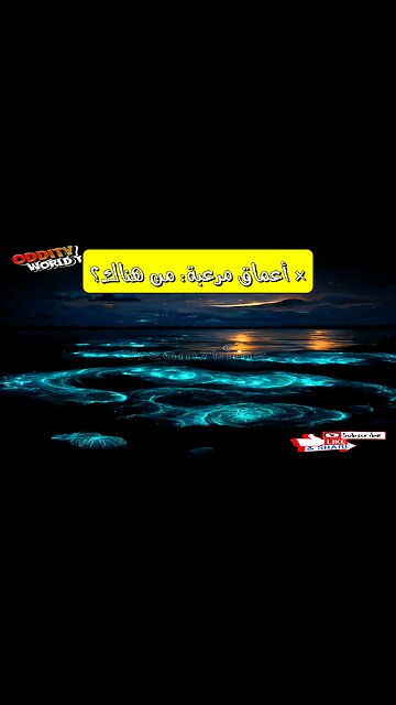 أصوات غامضة من أعماق المحيط! هل اكتشفنا حياة ذكية تحت الأمواج؟