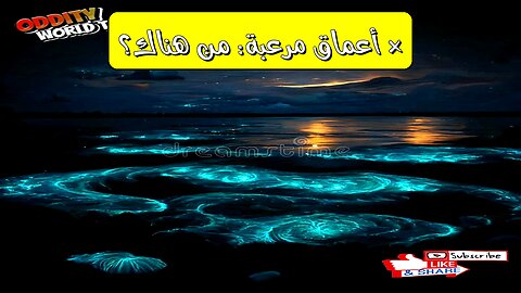 أصوات غامضة من أعماق المحيط! هل اكتشفنا حياة ذكية تحت الأمواج؟