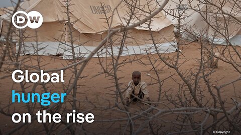 Refugee camps run especially low on food after international aid cuts | DW News