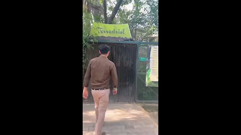 satisfying Video
