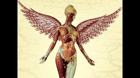 Transitioning the Human