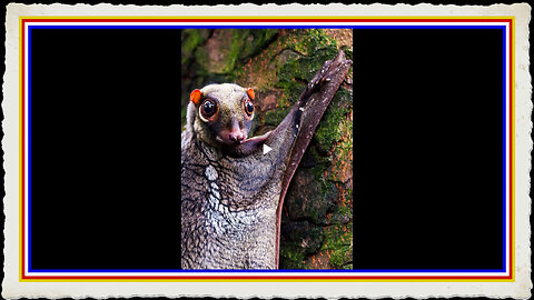 THE WORD IS LAUGHING AT THE US