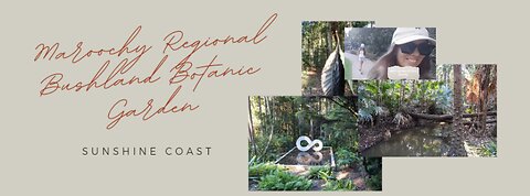 Sunshine Coast 🌞 botanical gardens