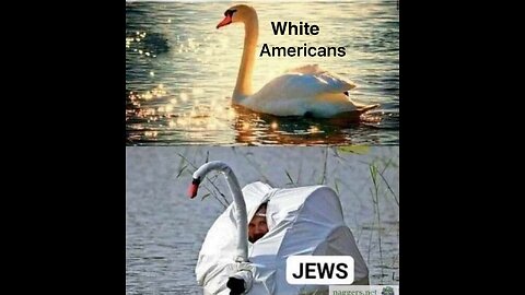 River Crossing 101 Essential Survival Skills & Pro Tips You Need to Know