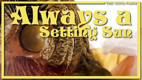 The Vinyl Flies - Always a Setting Sun (Demo)