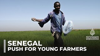 Senegal launches farming initiative to empower jobless graduates