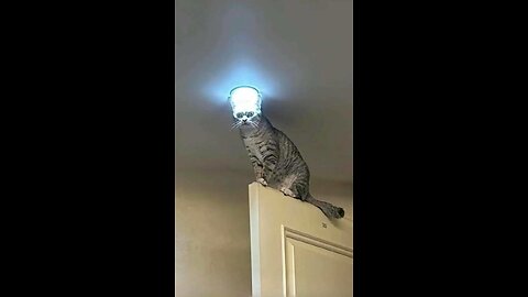 ROAD REDEMPTION THE NEW ROAD RASH