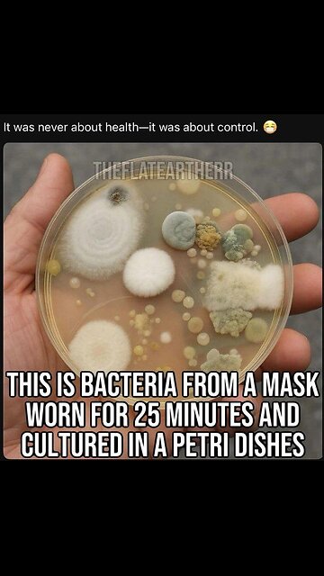 food thats gone bad redecorated and re sold ABSOLUTELY DISGUSTING