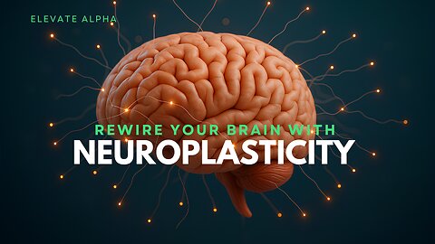 Rewire your brain with Neuroplasticity