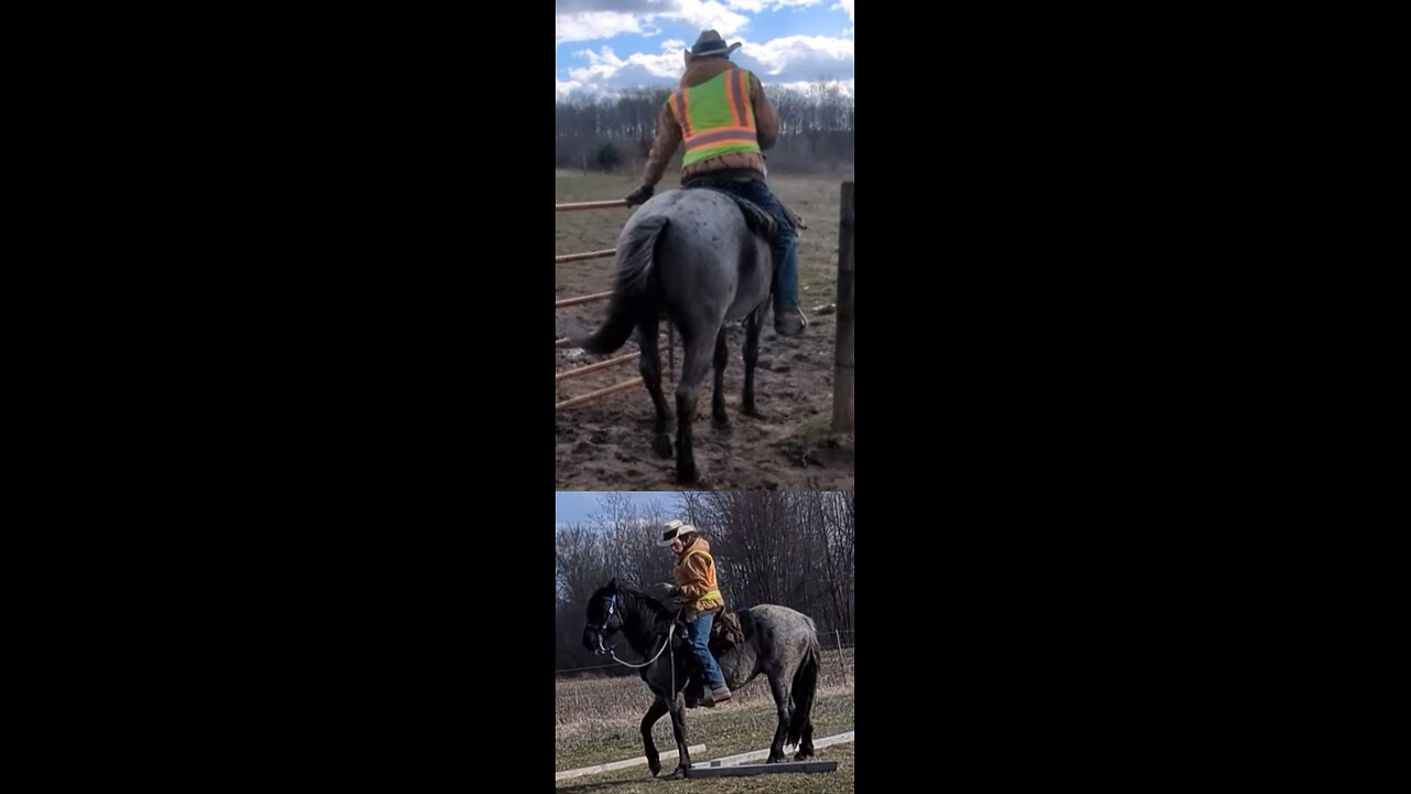 Steele - practice working gate and straddle side pass 25 March 2025
