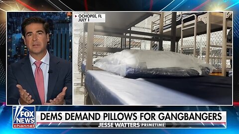 Watters: Dems Demand Pillows For Gangbangers