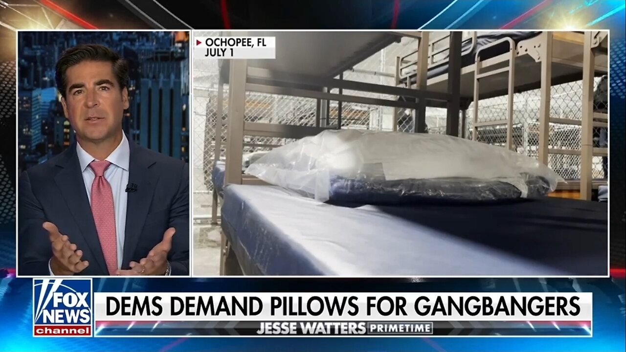 Watters: Dems Demand Pillows For Gangbangers