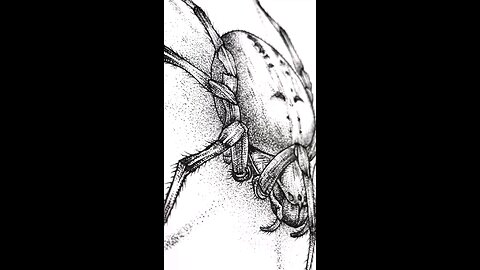 🕷️ Spider: Can I also surf the Web? 😉