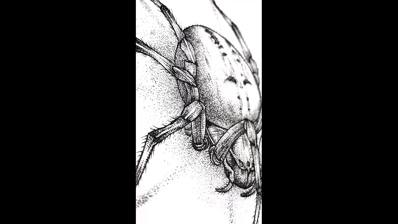 🕷️ Spider: Can I also surf the Web? 😉