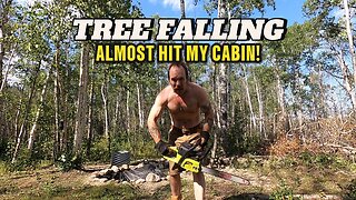 Tree Falling It Will Be Successful or Crush My Cabin #fallingtrees #livingoffgrid