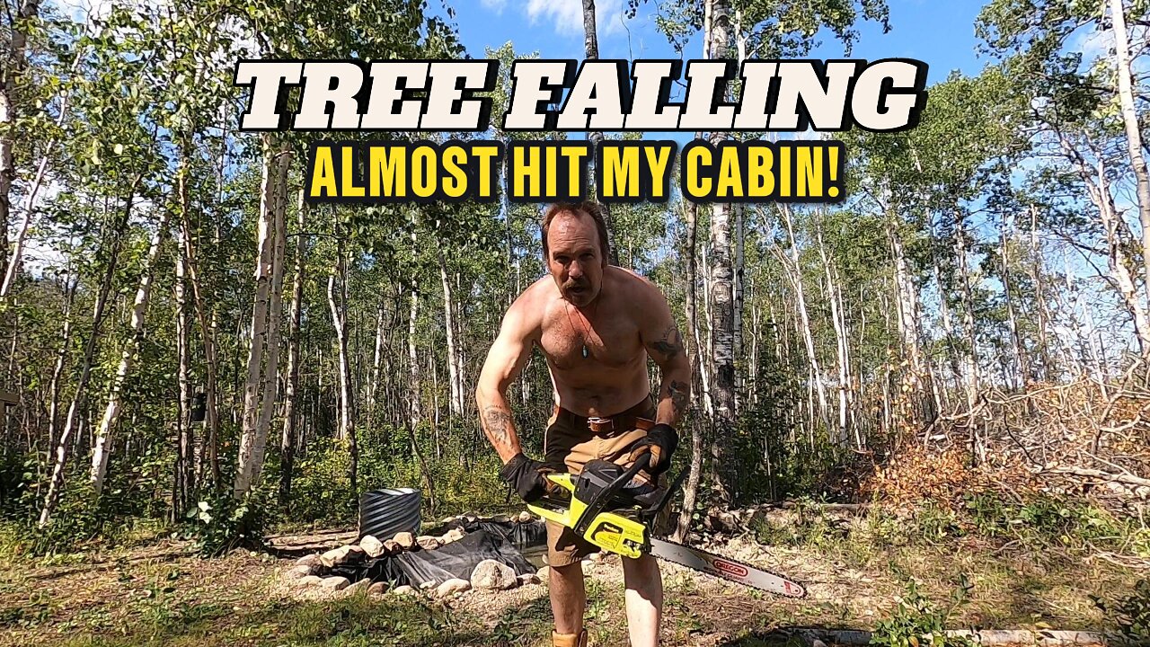 Tree Falling It Will Be Successful or Crush My Cabin #fallingtrees #livingoffgrid