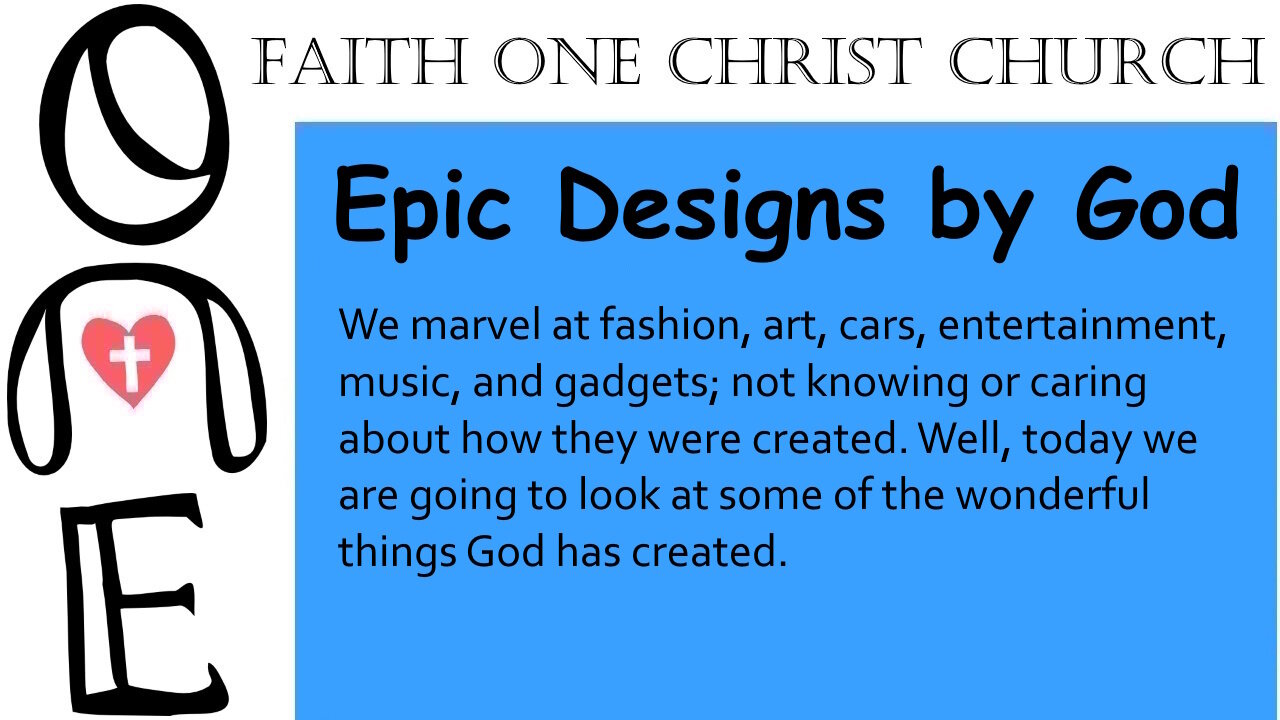 Epic Designs by God (Part 2)
