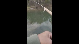 Centerpin Trout: Streamer or Powerworm? Centerpin Trout Take: Streamer or Powerworm?