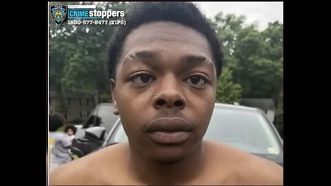 Negroes Shootin Negroes, Negroes Shootin Little Girls, Negroes Shootin Cops, Negroes Gon' Shoot
