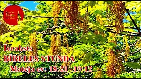 Bībeles stundas tiešraides ieraksts, 19.06.2025.