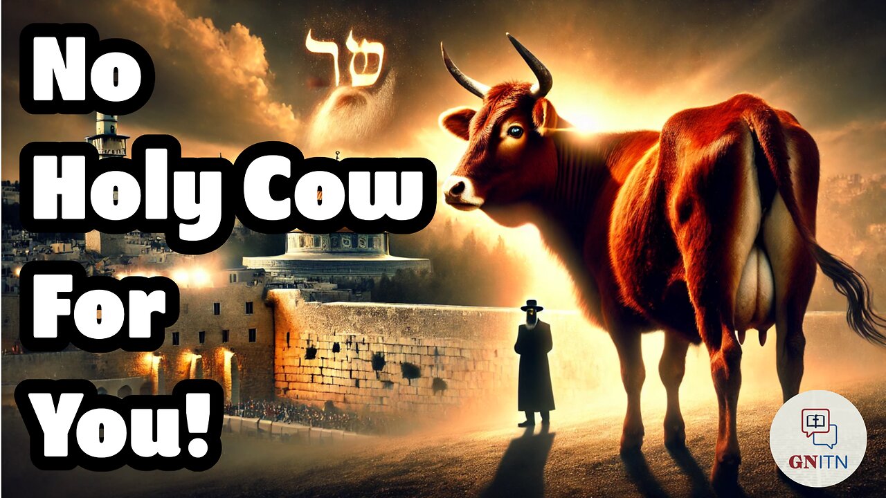 GNITN: No Holy Cow for You!