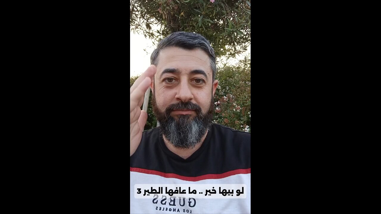 لو بيها خير.. ما عافها الطير 3