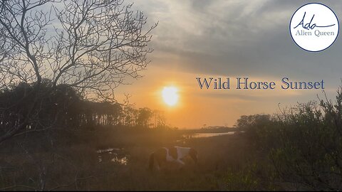 Ada Alien Queen • Earth Heart Beats • Take #00016 • Wild Horse Sunset